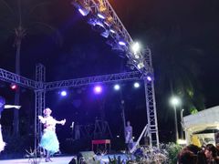 -渔家火锅·海鲜自助餐·演艺(亚龙湾天域酒店)
