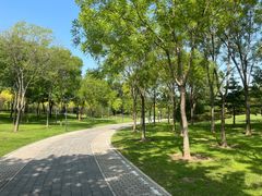 -北坞公园