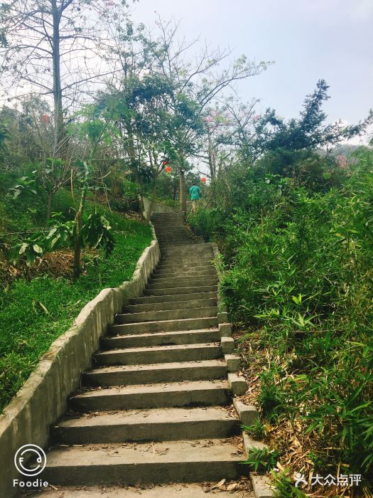 云顶山庄图片