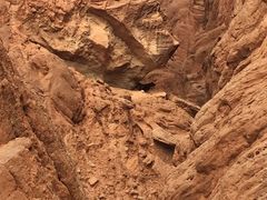 景点-天山神秘大峡谷