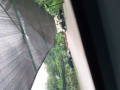 -西双版纳原始森林公园