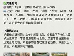 -成都动物园