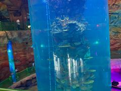 -青岛嘉年华主题乐园