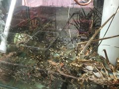 -滑记海鲜饭店·老字号(海鲜街店)
