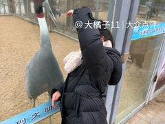 -盐城丹顶鹤湿地生态旅游区