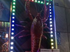 -红钳侠小龙虾·烧烤(中赢康康谷店)