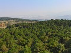 -铁山坪森林公园