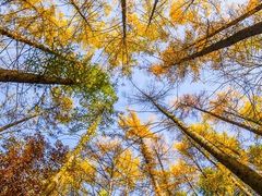 -洛阳白云山景区