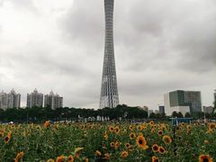 -海心沙亚运公园