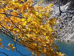 -叠溪松坪沟景区