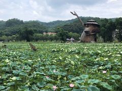 -红山村