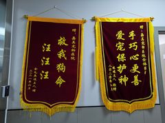 -嘉美宠物医院