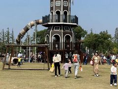 -上海长兴岛郊野公园