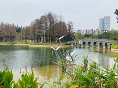 -四海公园(南山区)