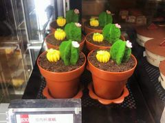 -85度C(上海兰溪二店)