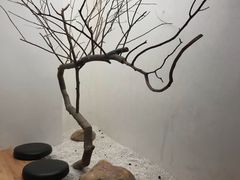 -喜茶(深圳海岸城店)