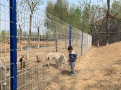 -东郊湿地公园