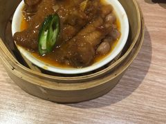 -南枝记