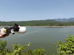 -白河堡水库