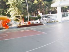 -柳州市景行小学