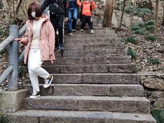 -紫金山山顶公园