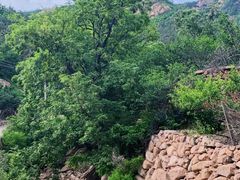 -崂山巨峰游览区
