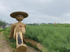 -乌村