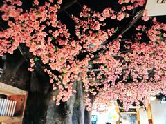 -黄家码头老火锅(解放碑旗舰店)
