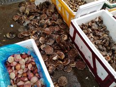 水产区-王四营海鲜市场