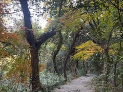 -杭州半山国家森林公园