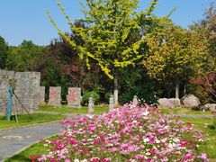 -武汉园博园(武汉自然博物馆)