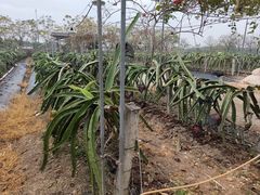 -尚果生态采摘园