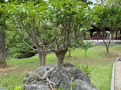 -采石矶景区