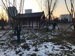 -西海子公园