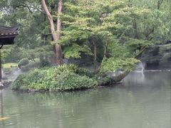 -杭州植物园