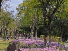 -海珠湖公园