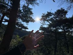 -金龙寺国家森林公园