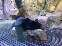 -哈尔滨波塞冬海底世界