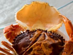 -辉记虾塘海鲜农庄