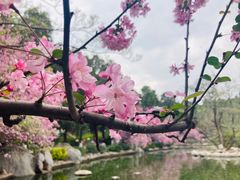 -昆明动物园