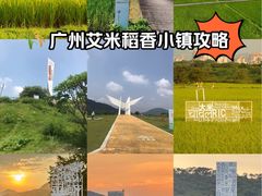 -艾米稻香小镇