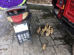 -明仕田园
