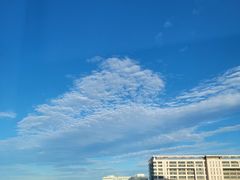 -首都医科大学附属北京同仁医院(南区)