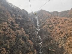 -栾川竹海野生动物园