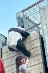 -DL HOPE明星造型