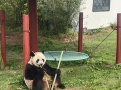 -杭州野生动物世界