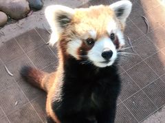 -云南野生动物园
