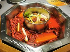 -蜀九香火锅(九眼桥店)