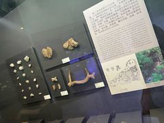 -北京周口店北京人遗址博物馆