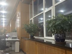 -长春市图书馆(同志街店)